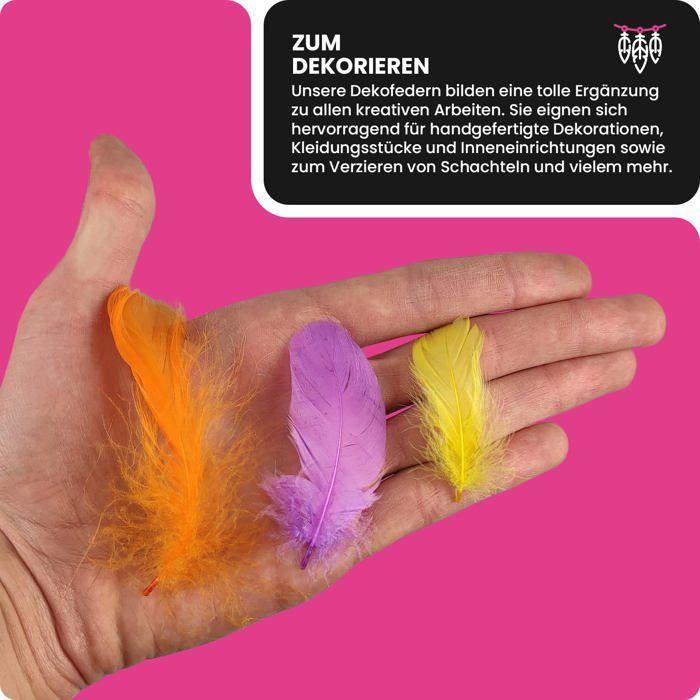 Jeu de scrapbooking - netuno - plumes décoratives - 10g - multicolore - pour enfants à partir de 3 ans