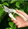 Stainless Steel Pruning Shears - Garden Tools for Branches and Fruit Trees