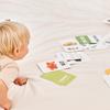Atti Rabbit Vivid Pair Word Cards Korean and English Fruit and Animal 56 Cards