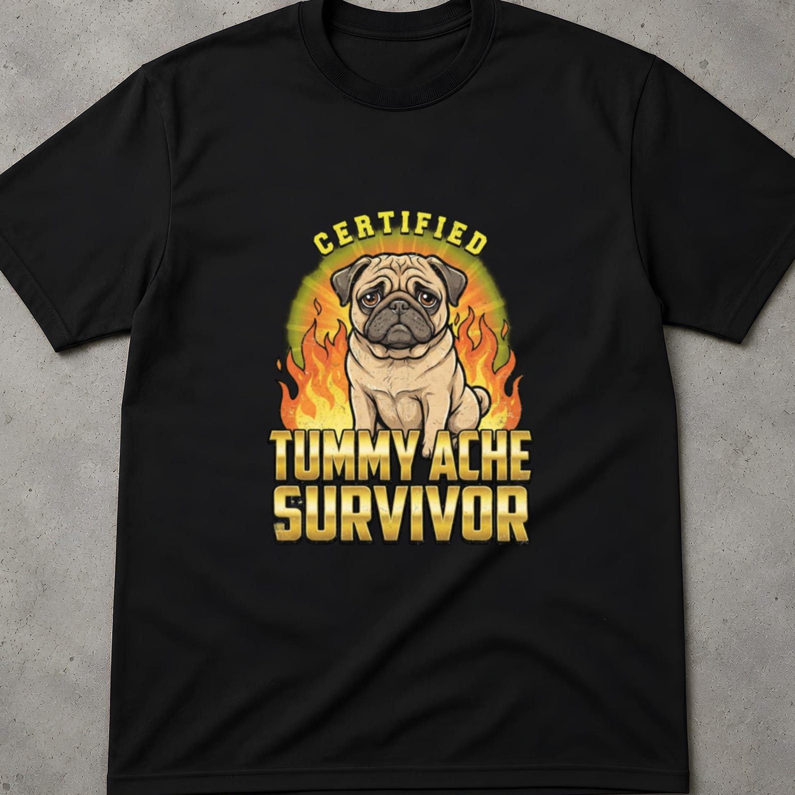 Survivor Meme Shirt, Funny Survivor Shirt, Survivor Shirt, Tummy Ache Survivor Raccoon, I Survived Tummy Ache, Tummy Troubles Survivor Shirt 2XL