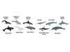Safari Whale Dolphin Tube Mini Figures 694704 &