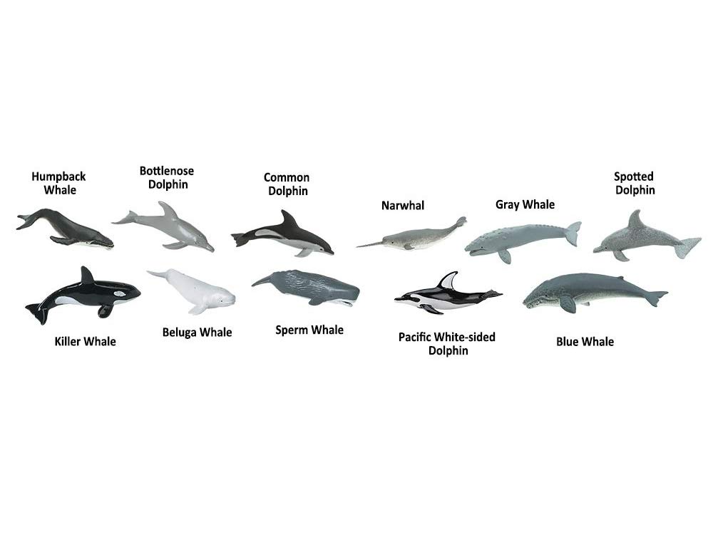 Safari Whale Dolphin Tube Mini Figures 694704 &