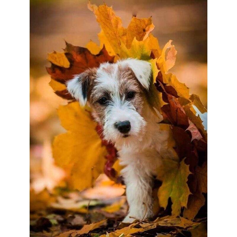 5D DIY Diament Malarstwo Jesienne Liście Pies Diament Haft Zwierząt Cross Stitch Pełne Kwadratowe Okrągłe Wiertła Home Decor Instrukcja Prezent