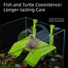 Reptile – Terarii pentru reptile