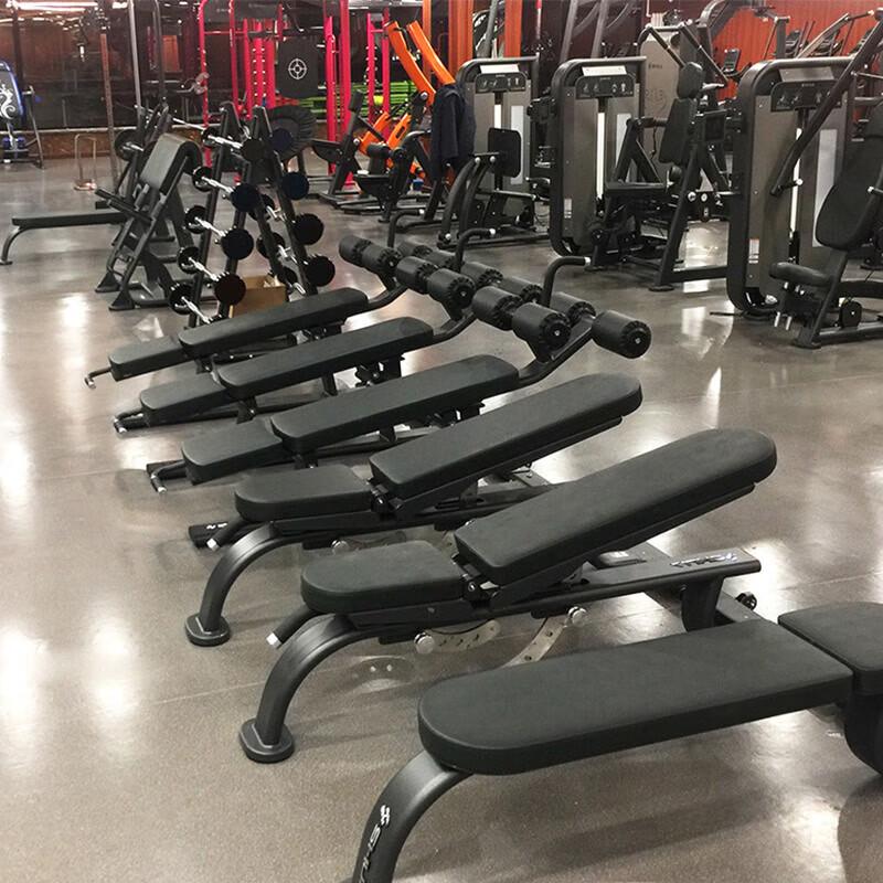 SHUA Bicep Curl Bench