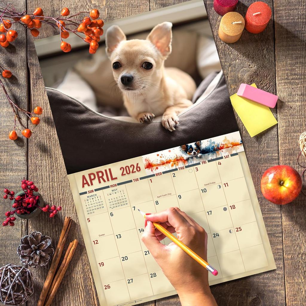 2026 Chihuahuas Dog Wall Calendar 16-Month X-Large Size 14x22, Dog Calendar by The KING Company-Monster Calendars