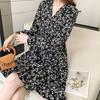 Elegant Chiffon V-Neck Long Sleeve Dress, Slimming Waist, Mid-Length Skirt, Women's Spring/Autumn 2026 New Arrival