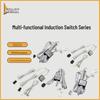 Classic Multi-Function Induction Switch for Double Door & Hand Sweep Control