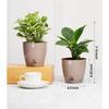 Combo of 8 Self Watering Flower Pots for Plants | Plastic Plant Pots | Planter Pots for Home, Indoor Living Room,Garden