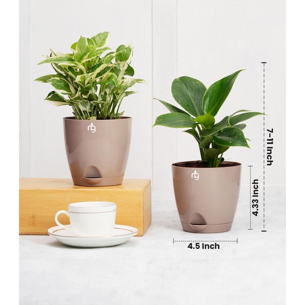 Combo of 8 Self Watering Flower Pots for Plants | Plastic Plant Pots | Planter Pots for Home, Indoor Living Room,Garden