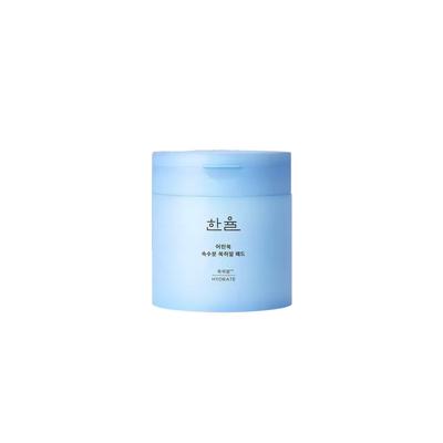 Young Artemisia Extract Moisture Mugwort Hyal Pads 60 Sheets