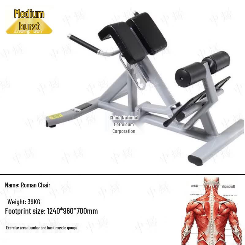 Roman Chair Hyperextension Bench