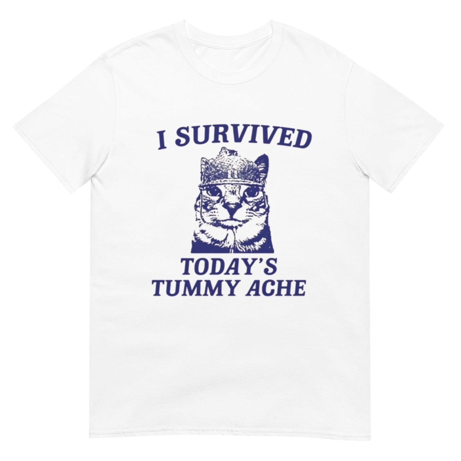 I survived today s tummy ache Shirt XL