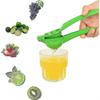 Small metal lemon juicer