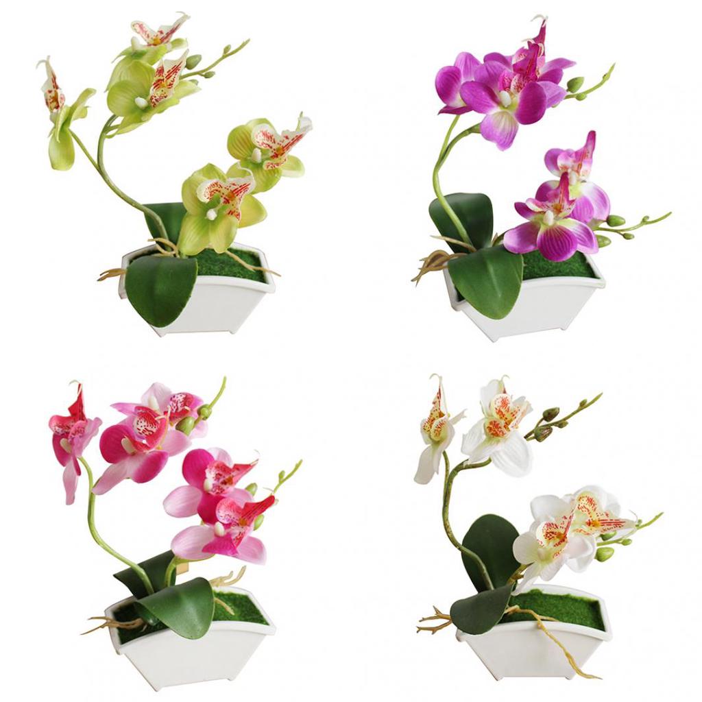 Buy Butterfly Orchid Flower Home Office Decor with Flowerpot at affordable prices — free