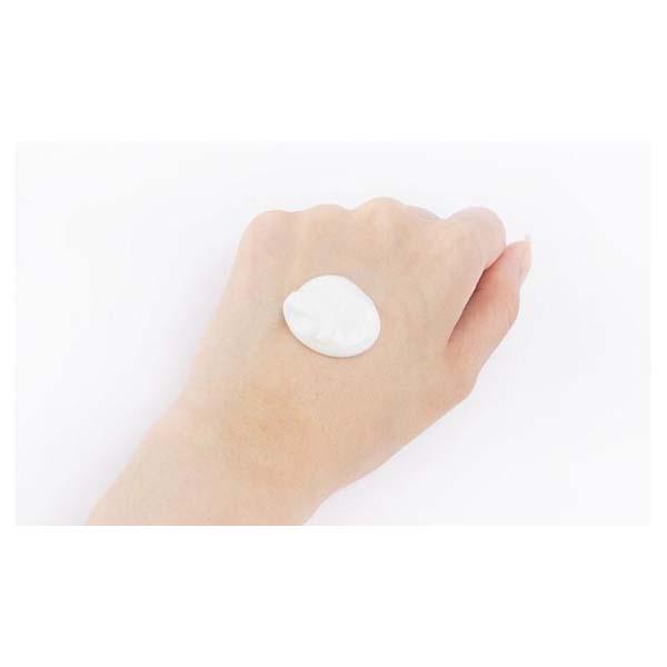 innisfree green tea pure cleansing foam