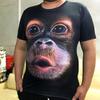 T-shirtler – Tişörtler