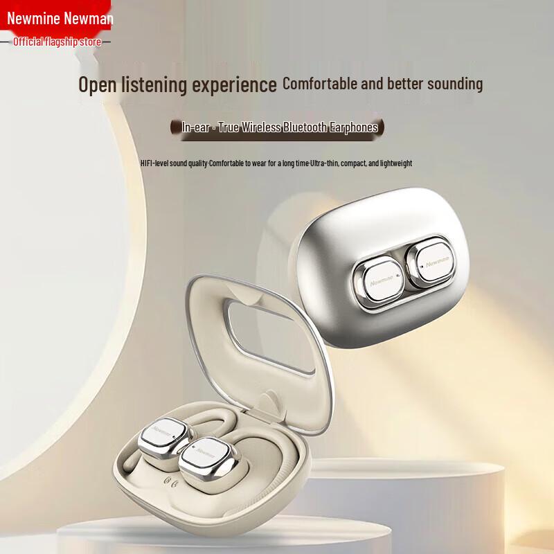 Newman LY27OWS Open-Ear Hook Bluetooth Earphones