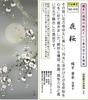 Rotolo Appeso Fiori di Ciliegio Notturni di Ogata Yosui Shakugo Dimensione 1A2-010 Tokonoma Stanza Giapponese Moderno Elegante Fatto in Giappone Regalo Decorazione Murale Kakejiku