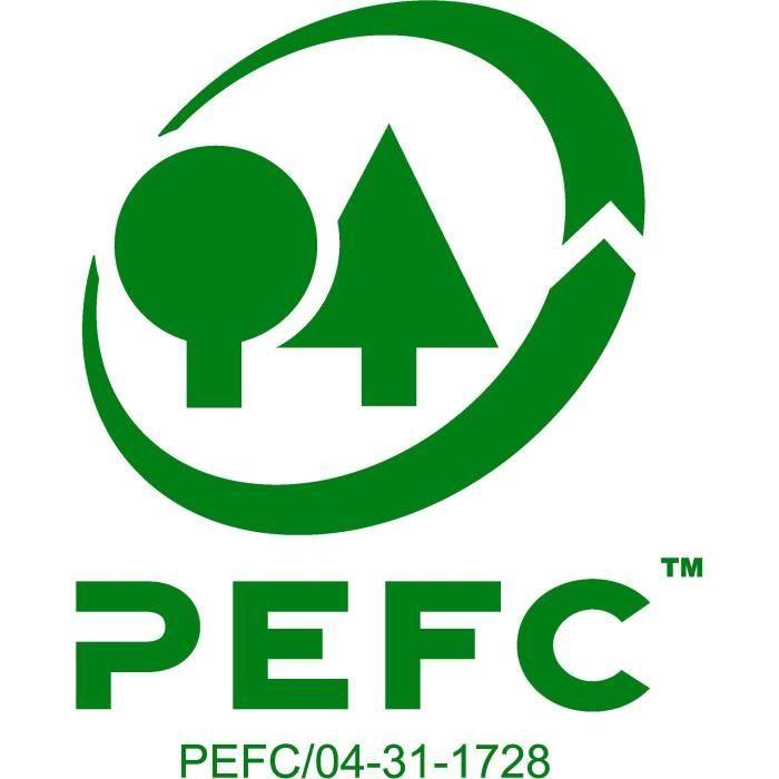 Etui carton x 10 crayons multi-talents stabilo woody 3in1 arty + 1 taille-crayon