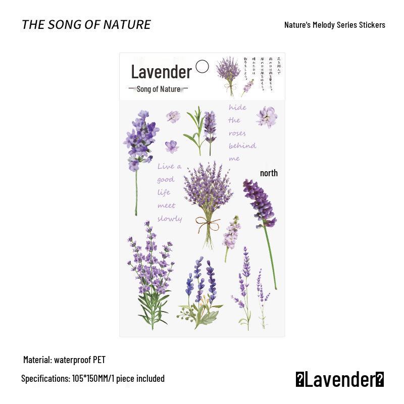 PVC Flower & Plant Stickers for DIY Crafts, Journals, Collages & Kids' Gifts