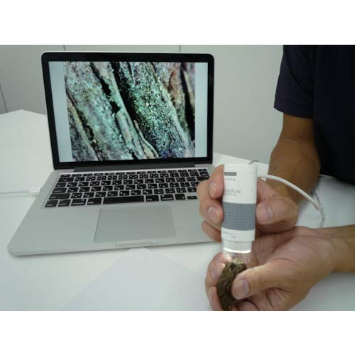 SIGHTRON Japan SIGHTRON USB Microscope, 60x and 250x Magnification, Nano.Capture SP725S