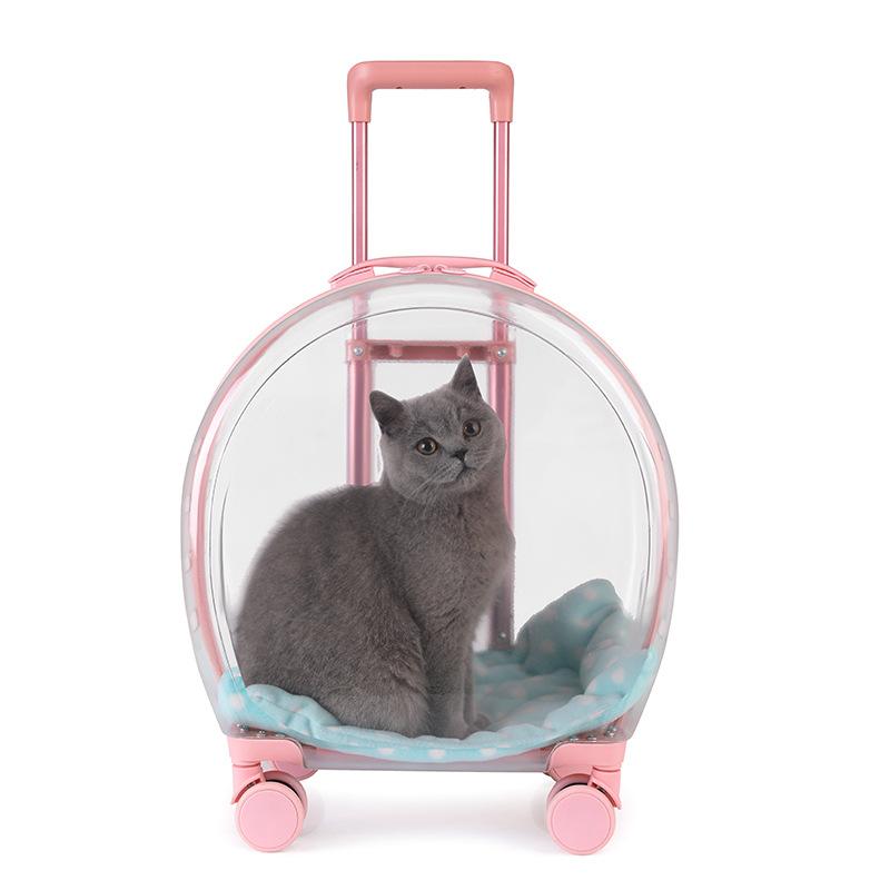 Pet Carrier Luggage Box for Small Animals Suitable for Cats Dogs And Reptiles Pet Transport Supplies