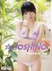 HOSHINO 2019 Calendar Wall Hanging B2 Tri-X CL-201