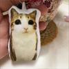 1 Stück Süßer Meowl Katze Plüsch Schlüsselanhänger Mit Ton, Weiches Stofftier Schlüsselanhänger, Lustiger Tasche Anhänger Charm Geschenk Für Freunde