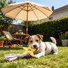 Dog Rope Toy Rubber Ring Dog Chew Toy with Braided Cloth Strips Dog Tug of War Rope Toy for Fetch Toss-and-Catch