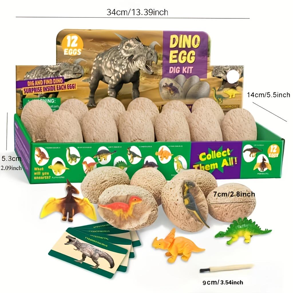 A Set of Dinosaur Fossil Excavation Eggs - 12 Unique Dinosaur Eggs,Excavate Several Unique Dinosaur Eggs, an Archaeological Dinosaur Egg Kit