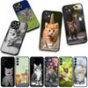 Funny Kitten Cat Phone Cover Case for Huawei P30 P20 P10 Mate 10 20 Pro Lite Y9A Y8S P Smart Y7 Y9 Prime Casing