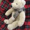 [USED] Christmas Teddy Bear, MON SEUIL Tweed Muffler Bear