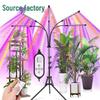 Cross-border Adjustable Spectrum Succulent Grow Light with Foldable Bracket