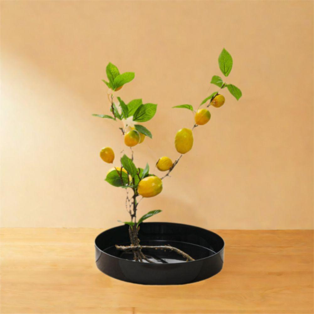 Large Flower Container Round Plastic Flower Tray Durable Flower Arrangement Tray  Garden Courtyard