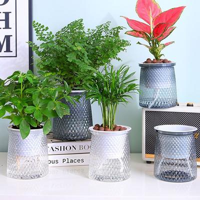 Practical Plastic Plant Pot Self Watering Visible Water Level Flower Pot Garden Supplies Water Planting Pot