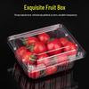 Disposable Rectangular Plastic Fruit Container