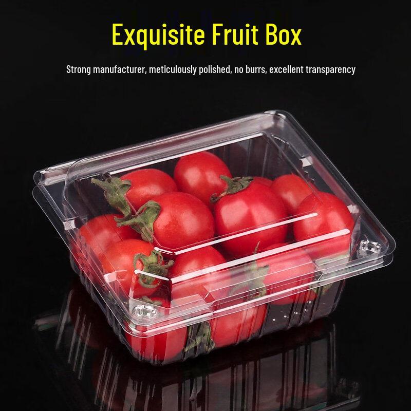 Disposable Rectangular Plastic Fruit Container