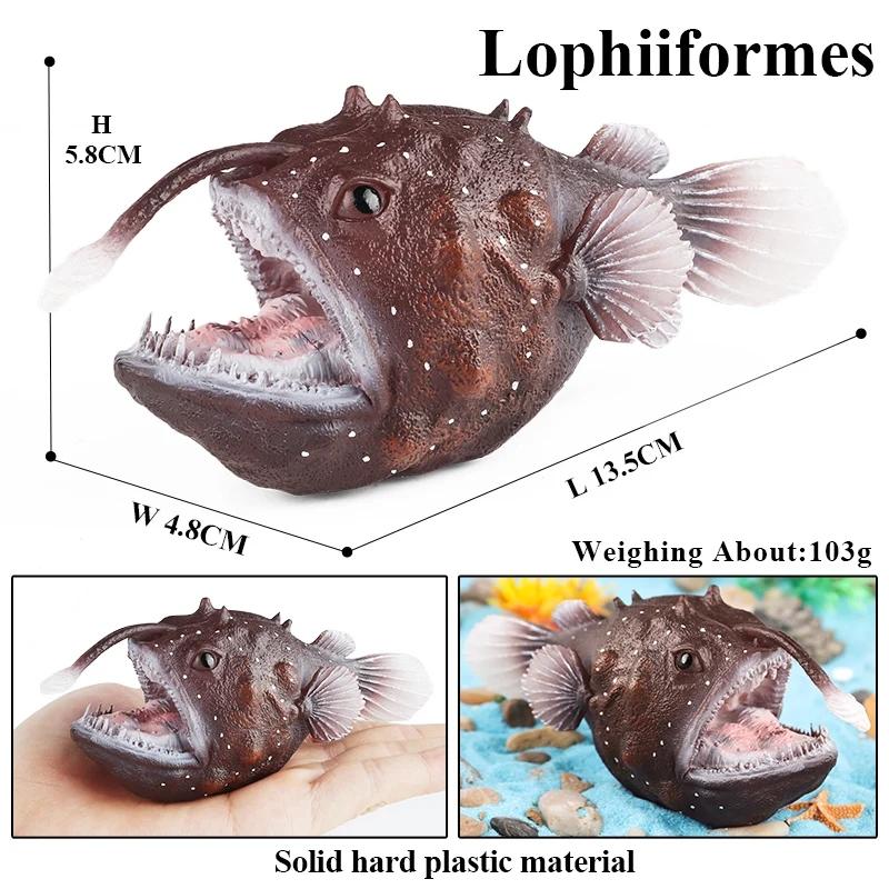 Oenux Animali Marini Modello Action Figures Pesci Oceanici Pesce Vela Persico Cernia Salmone Figurine per Acquario Giocattolo Educativo in PVC per Bambini