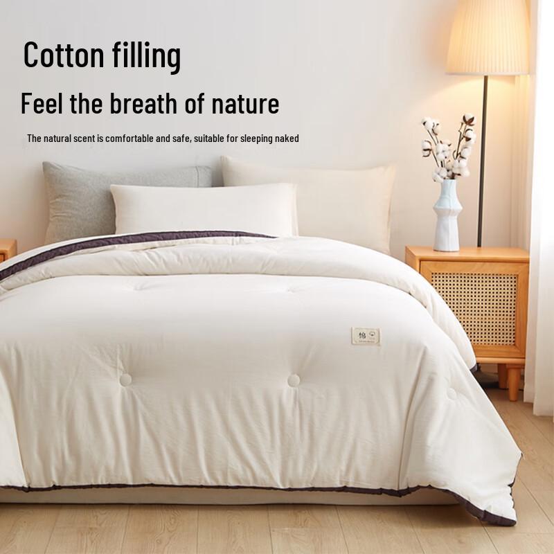 Muji Workshop Xinjiang Cotton Winter Quilt