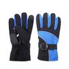 Electric Heating Thermal Glove Riding Warm Mitten for Men Women Full Finger Glove for Touch Screen Gloves
