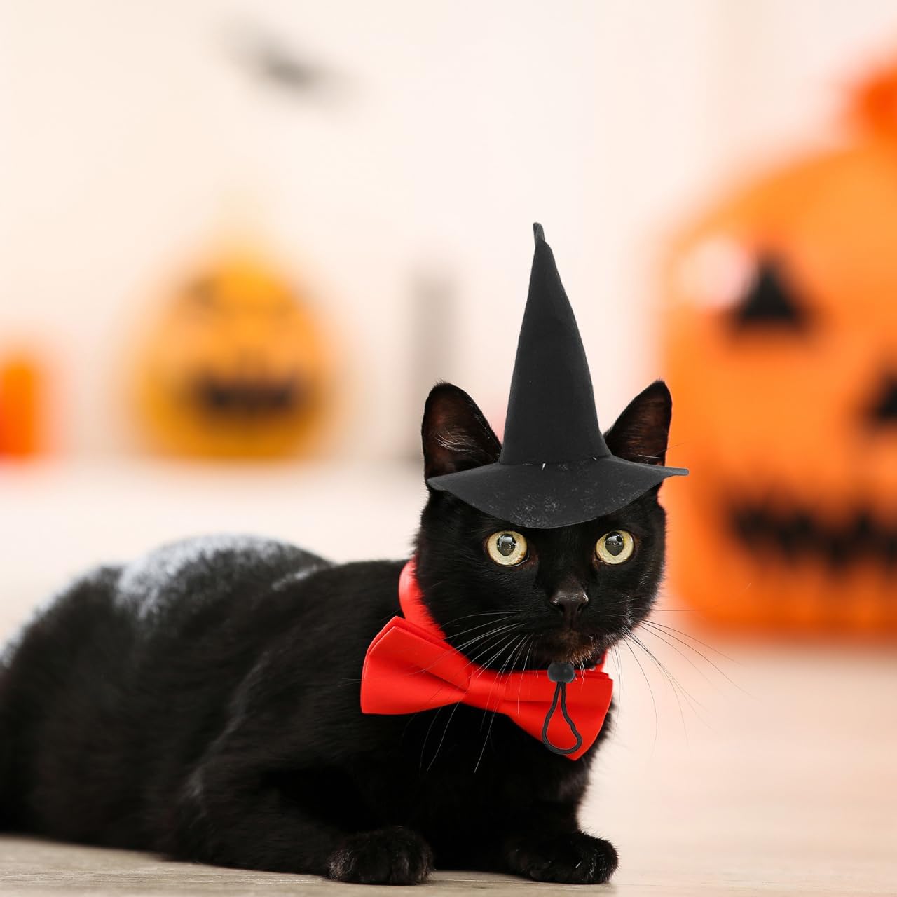 YARNOW 2 Pcs Dog Witch Hat Halloween Pet Hat Halloween Witch Hat for Dog Cat Pet Costume Accessories, 17.00X16.00X12.50CM, Black