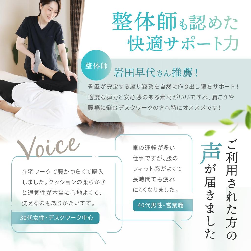 LeLante Car Cushion, Lumbar Support, Seat Cushion, Lower Back Pain, Driver's Seat Cushion, Memory Foam, Dark Gray