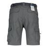 Columbia Шорты Silver Ridge II Cargo