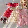 Robe de Princesse en Tulle à Manches Courtes pour Fille