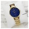 Casio STANDARD Series Simple Fashion Trend Business Casual Classic Pointer Roman Scale Blue Large Dial Waterproof Quartz Movement MTP-VT01G-2B
