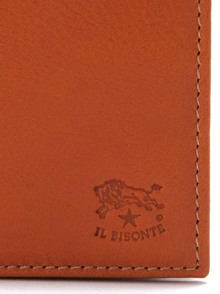 Portfel F Czarny [IL BISONTE] 54_1_411853