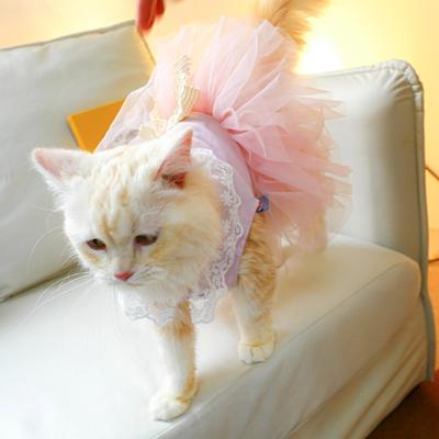 Haustier Hund Prinzessinnenkleid für Katze Pullover Hochzeitskleider Welpenkleidung Hundekostüm Vier Jahreszeiten Tüllrock Haustierbedarf
