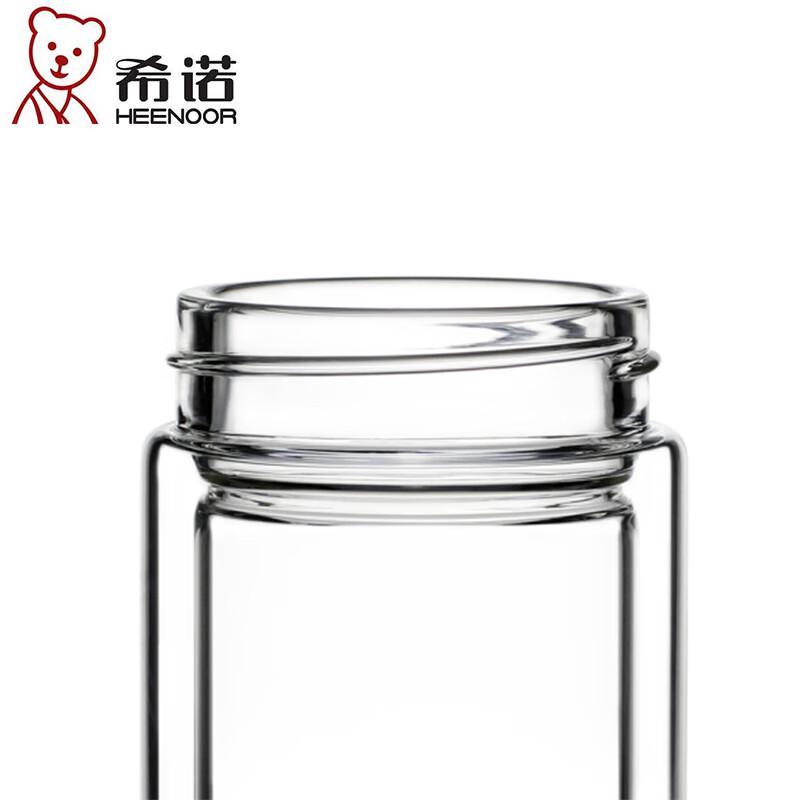 Saino Double-Layer Borosilicate Glass Tea & Water Bottle with Infuser