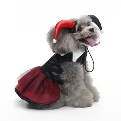 Bekleidung & Schuhe – Hundekleider